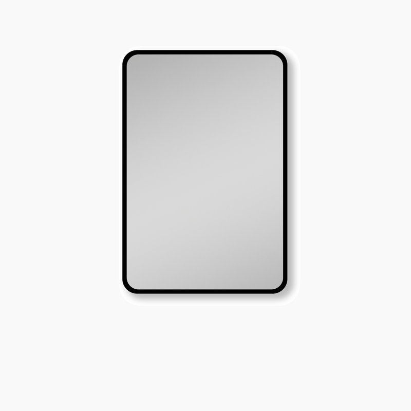 Brayden Studio® Bhuralal 20'' W 28'' H Framed Medicine Mirror